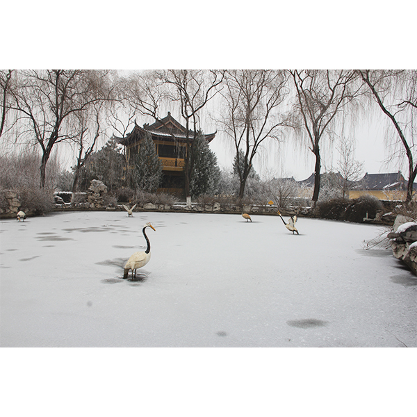 陵园雪景